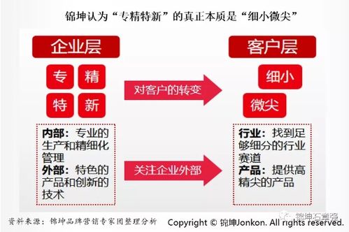连锁与互联网品牌营销专家 互联网销售的未来之路