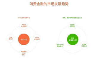 2016年中国互联网消费金融营销发展 互联网销售渠道的革新与挑战